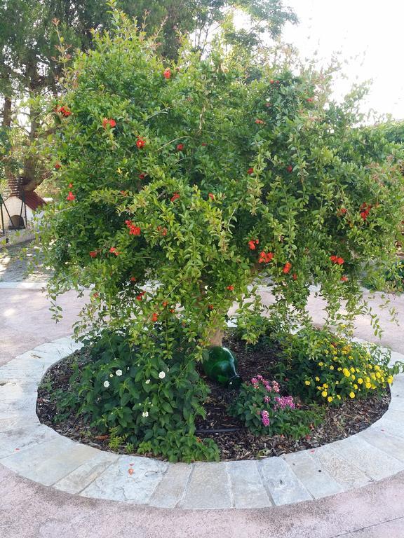 Bed and Breakfast Il Melograno Ceglie Messapica Exteriér fotografie